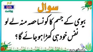 GK Question || GK In Hindi Urdu  || Islamic Question and Answer || Urdu Quiz Point