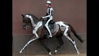 Advanced Dressage to Music - Skeleton Style