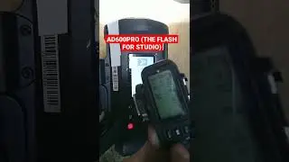 AD600PRO (THE FLASH FOR STUDIO)