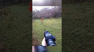 unforgettable Deer Hunt with Rafil gun #hunthowdown #hunting #deerhunting #hunt #airsoft #bowhunt