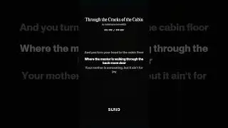 Through the Cracks of the Cabin (2008)