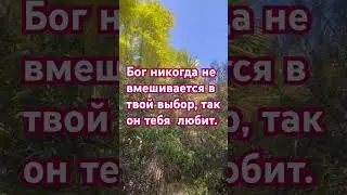 Бог не вмешивается в твой выбор.