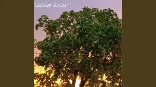 Trappunk