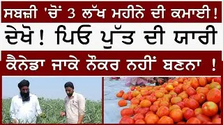 Sabji 'ਚੋਂ 3 ਲੱਖ ਮਹੀਨੇ ਦੀ ਕਮਾਈ ! | ਦੇਖੋ! ਪਿਓ ਪੁੱਤ ਦੀ ਯਾਰੀ | ਨਮੋਲ | Namol | Sirlekh