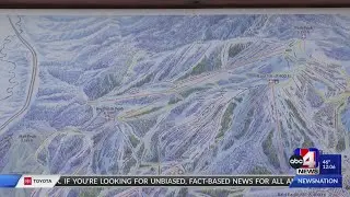Enjoying fresh powder on the slopes
