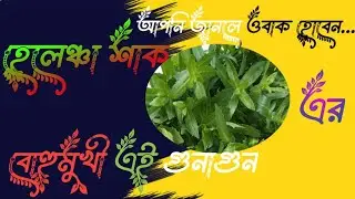 Helencha sag ar gunagun|helencha sag ar upokarita|হেলেঞ্চা শাকের গুণাগুণ|@AyurvedicBangla @ManojDey