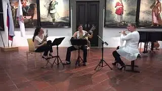 J. Kreuzer: Trio in D - III. Rondo   Trio Instrumentalis (Tanja Pirc, &Scaron;pela Benčina, Valna Ožbolt)