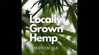 Most Affordable CBD Oil In Georgia | GeorgiaFarmed.org | Local GA Hemp