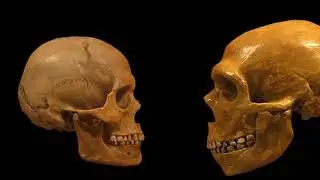 Unlocking Human Brain's Secrets: Six Mind-Blowing Discoveries!