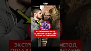 Экстремальный метод отца Хабиба: воспитание через борьбу с медведем #короткий #ufc #шорты