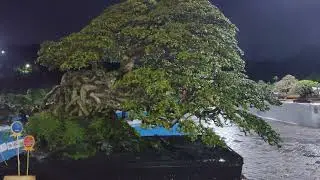 hasil penjurian  kelas madya pamnas Gresik di gressmall 2023