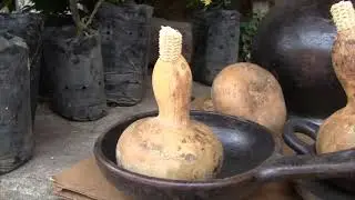 El tecomate