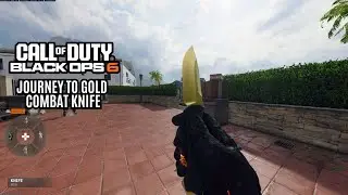 Call Of Duty Black Ops 6 Journey To Gold Combat knife
