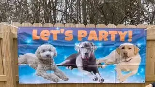 Livole Custom Vinyl Banners and Signs Customize Wall Banner Review