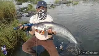 Walagu Attu Pathen Fishing at Gulbarga Karnataka India Catching by A.S.TABRAZ ANGLER