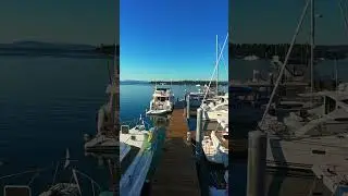 Golden hour at Henry Island SYC Outstation | San Juan Islands | DJI Avata