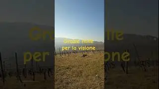 #mtb #mtbreview colline val Tidone #enduro #mountainbike