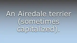 What does Airedale mean?