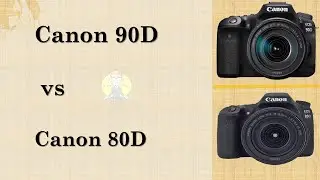 Canon 90D VS Canon 80D