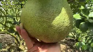Vào quy trình.. chỉnh sửa sửa.. làm lại từ đầu,., 