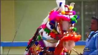 M.S DANCING HORSE &GOWTHIYA SABAH ATHIRAAMPATTINAM
