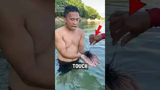 НЕ ТРОГАЙТЕ ЭТУ КОЛЮЧУЮ ШТУКУ‼️😱😨