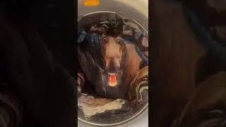 Woman Can't Stop Laughing After Moose Blanket Gives Her Jump Scare While Doing Laundry