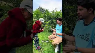 Quieren conocer una reina en la vida real! 👑👑❤️