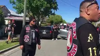 KING COBRAS NEW ZEALAND
