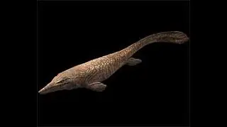 Mega Beasts  T Rex of the Deep   Mosasaur Documentary