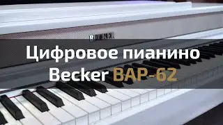 Цифровое пианино Becker BAP-62 | Обзор с Евгением Кобылянским