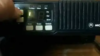 lista scan motorola MaxTac