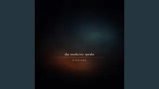 Peace Begins Inside The Mind