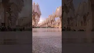 Giant Solar Powered Umbrellas Dubai 🤯🤯🤯| Best Travel Destinations