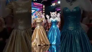 The Cute Cat&rsquo;s Stage Show Is Astonishing! #show #funny #magic #amazing #talent #gottalent #shorts