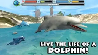 Dolphin Simulator Android Gameplay Trailer [HD]