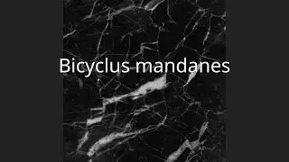 Bicyclus mandanes