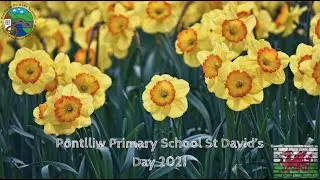 Pontlliw Primary School St David's Day Concert 2021