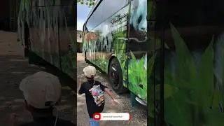 bukan telolet bus kids panda tapi banyak panda nya gaess !!