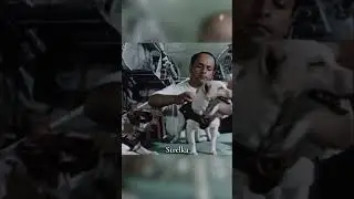 The First Animal To Go In Space & Come Back Alive 🐶🐾#shorts #shortvideo #shortsvideo #shortsfeed