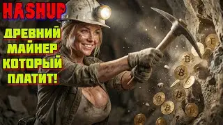 🚀 Hashup ДРЕВНИЙ МАЙНИНГ ВЫВОЖУ КАЖДЫЙ ДЕНЬ! Лучший майнинг без вложений