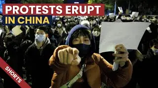 Protests Erupt in China over Covid Zero Policy