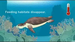 Threat of Climate Change on Sea Turtles PSA - Sea Turtle Conservancy