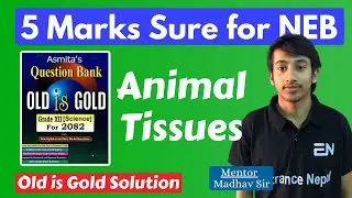 5 Marks Sure | Animal Tissue in  One Shot for NEB | Entrance Nepal