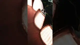 E36 LED Turn Lights: Stunning Transformation