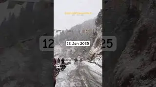 Mussoorie Snowfall right now 😍January ❤️ #snowfall #viral #travel #shorts Dhanolti snow