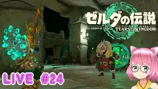 【ゼルダの伝説 ティアーズオブザキングダム】今日もコーガ様と出会いたいなぁ #24
