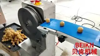 Automatic Protein ball Rounder machine energy ball machine#foodmachine #energyballs #manufacturing