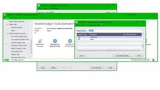 Extended G/L Accounts for Sage 300