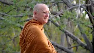 Mindfulness and the Three Characteristics | Luang Por Pasanno